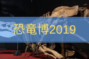 恐竜博２０１９