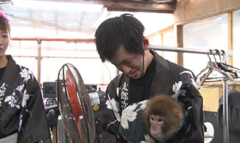 ザノンフィクション「就職先はさる軍団～師匠と弟子と新入社員～」