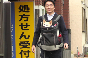 ザ・ノンフィクション「花子と先生の１８年～人生を変えた犬・前編～」