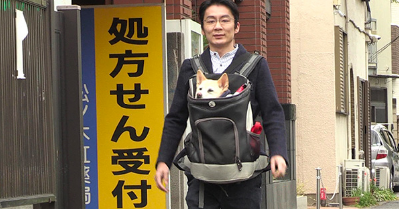 ザ・ノンフィクション「花子と先生の１８年～人生を変えた犬・前編～」
